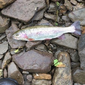 Meet your Posher, Craig